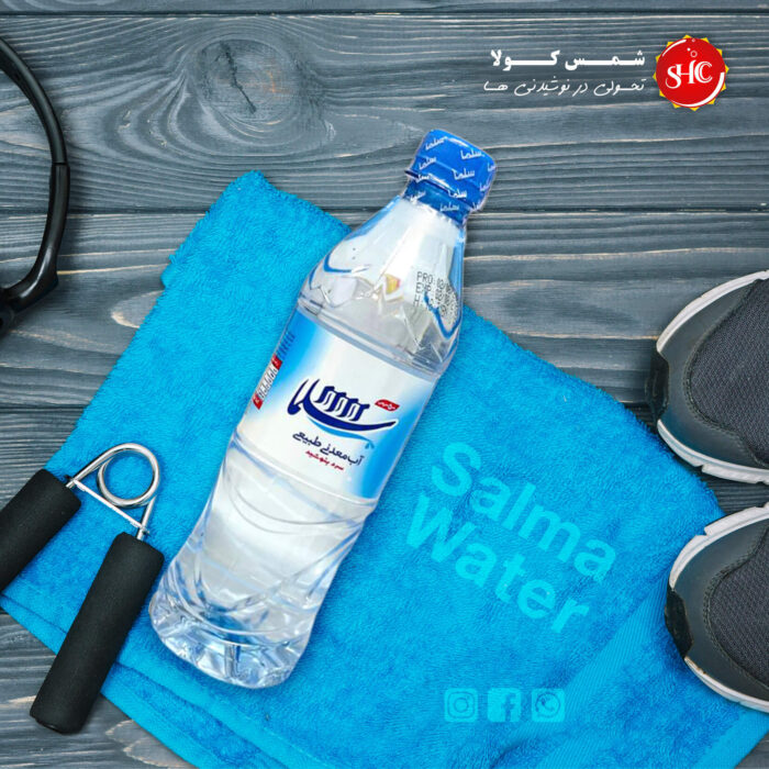 Salma Mineral Water 500ml (Bottle) - Image 3